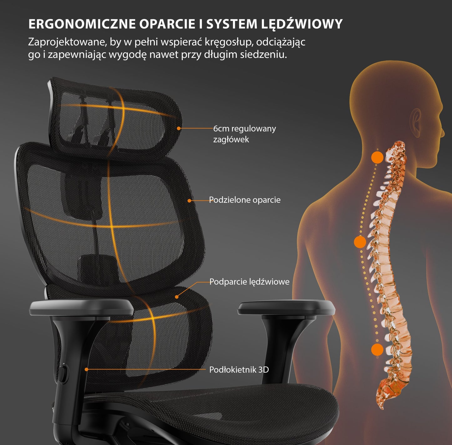 Ergonominė biuro kėdė mokiniui Nobu – nuotrauka 8