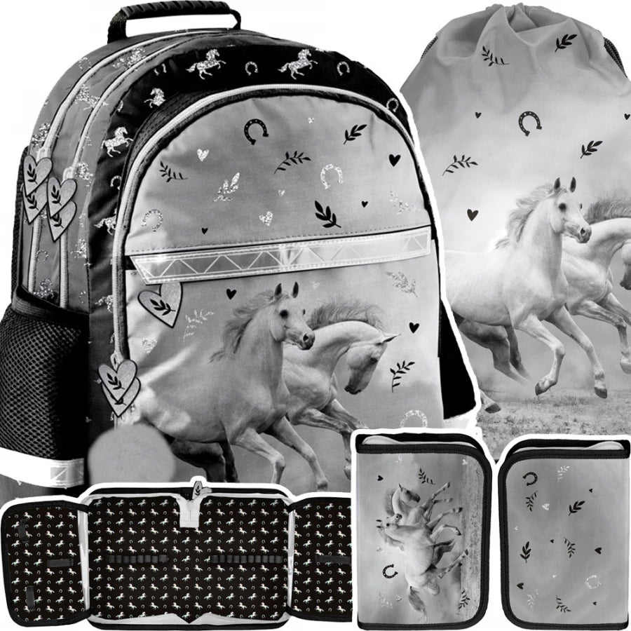 Mokyklinis rinkinys Arklys 3 dalys – Paso