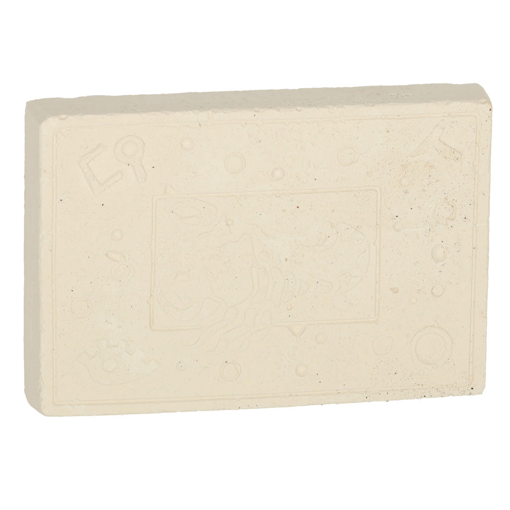 Archeologiniai kasinėjimai vabzdžiai gintare – vaizdas 9