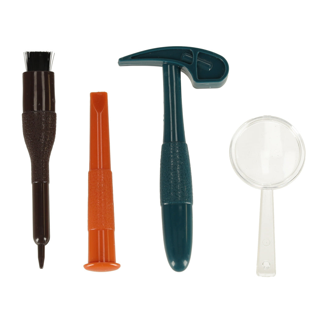 Archeologiniai kasinėjimai vabzdžiai gintare – vaizdas 5