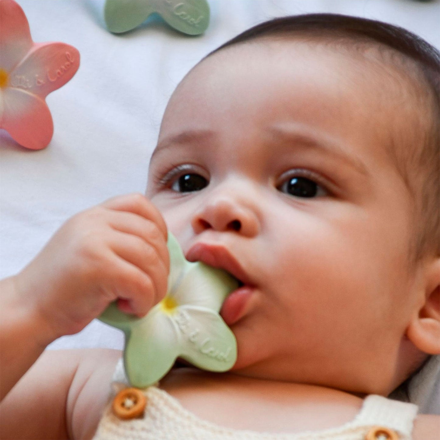 Oli&Carol natūralus dovanų rinkinys naujagimiui: 2 kramtukai ir barškutis – Vynuogė, Saulėgraža, Gėlė – vaizdas 5