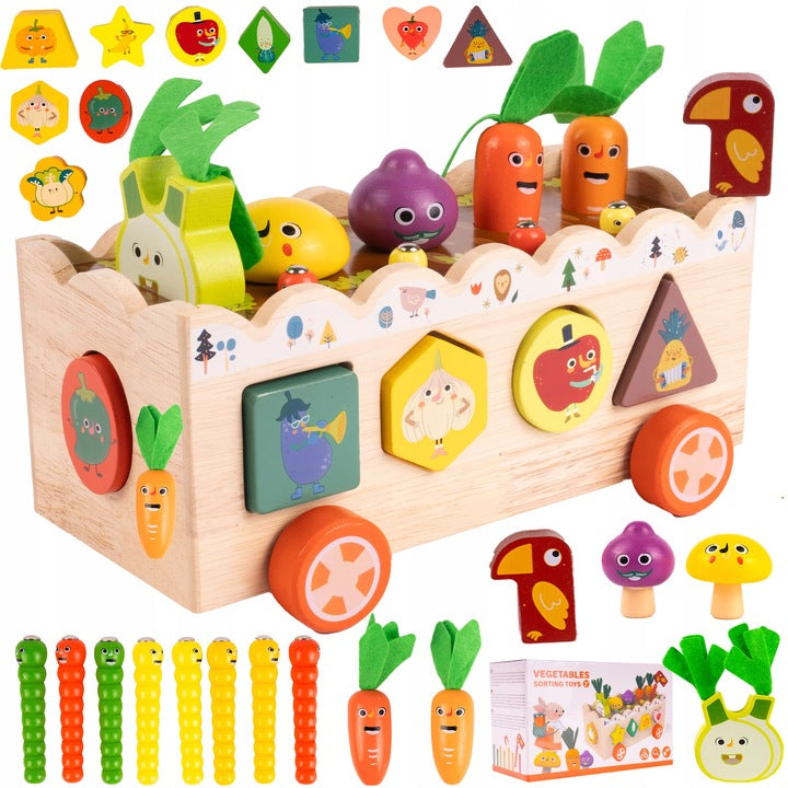 Medinis Montessori rūšiuoklis daržovės – pagrindinis vaizdas