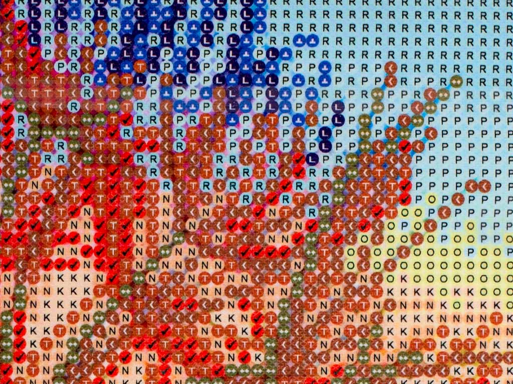 Deimantinio siuvinėjimo mozaikų rinkinys 5D pienės – vaizdas 4