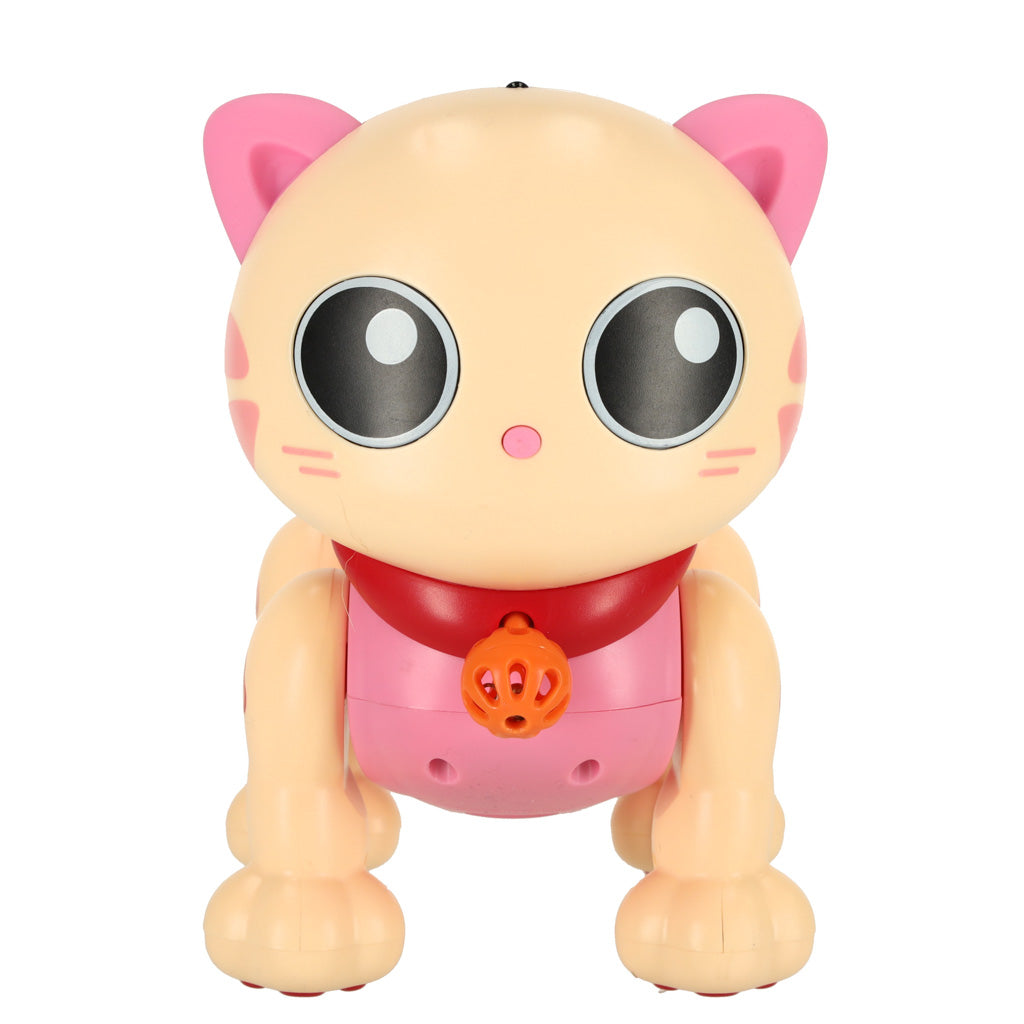 Interaktyvi katė - vaizdas 2