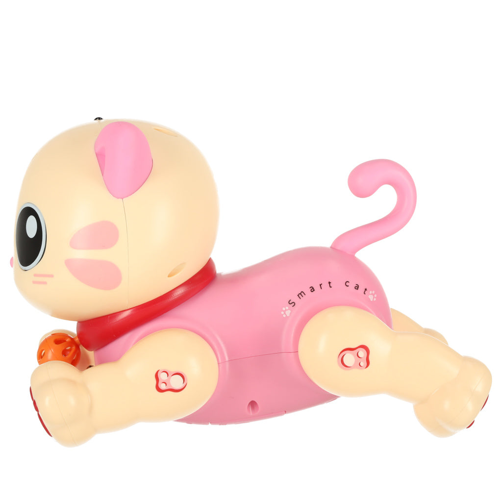 Interaktyvi katė - vaizdas 4