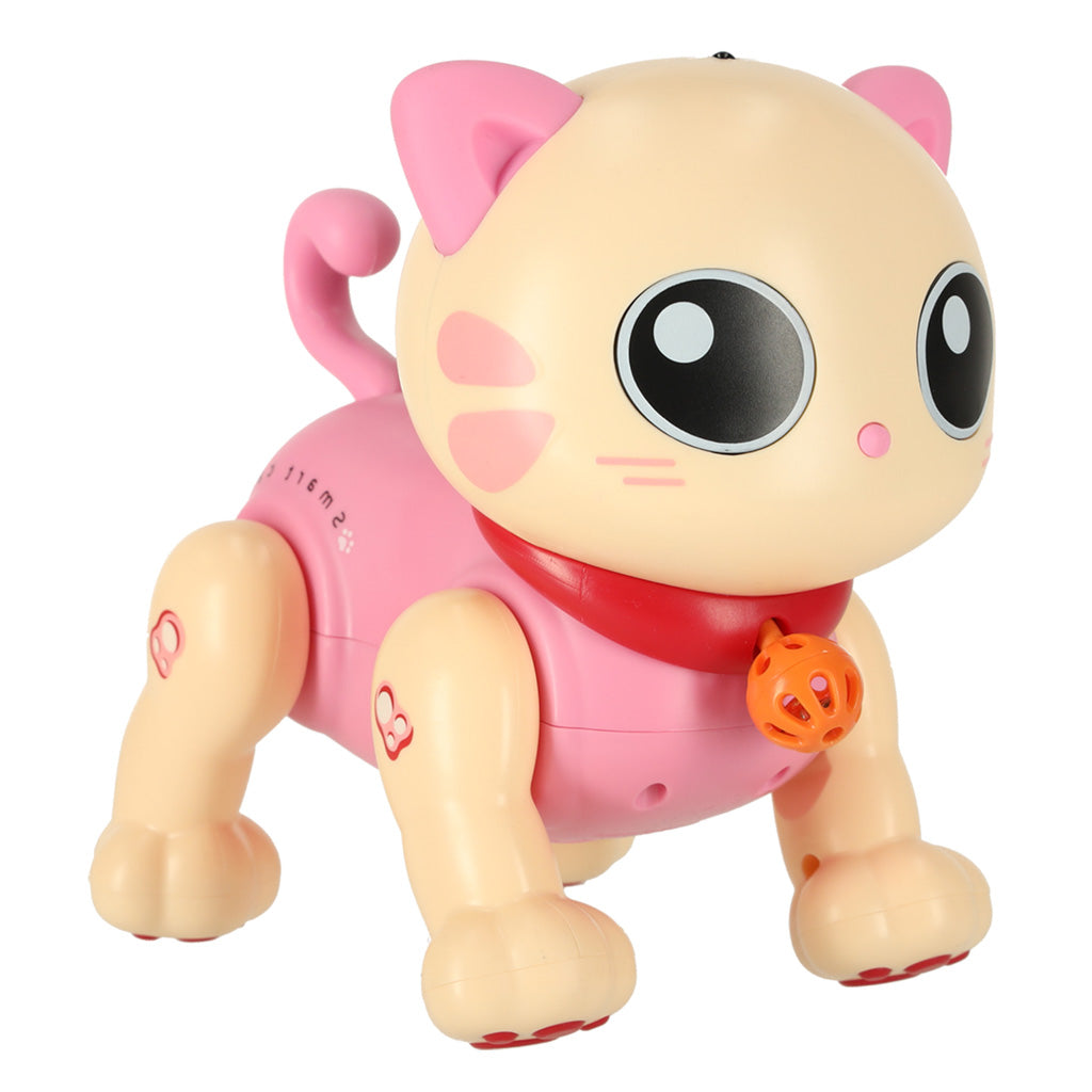 Interaktyvi katė - pagrindinis vaizdas