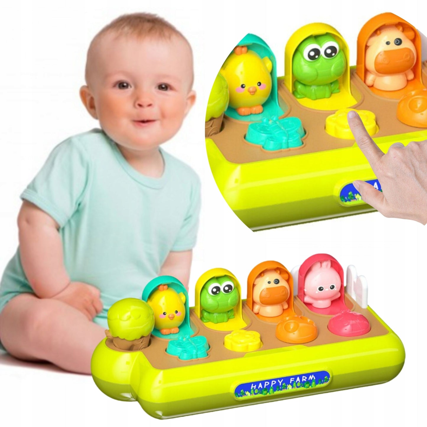 POP UP spalvingi gyvūnai