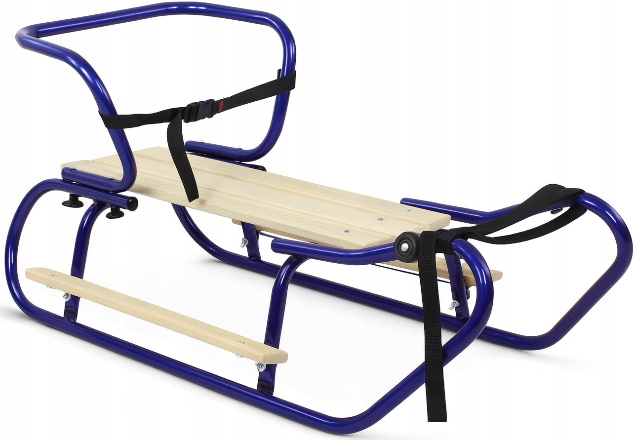 Vaikiškos metalinės rogutės su nugaros ir kojų atramomis – vaizdas 3