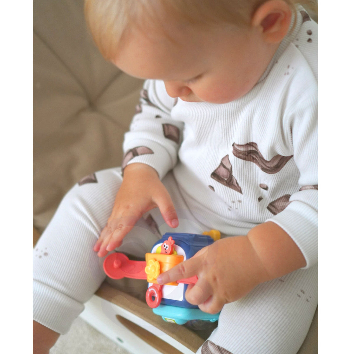 WOOPIE Pingviuko Montessori Sensorinis Kubas 6in1