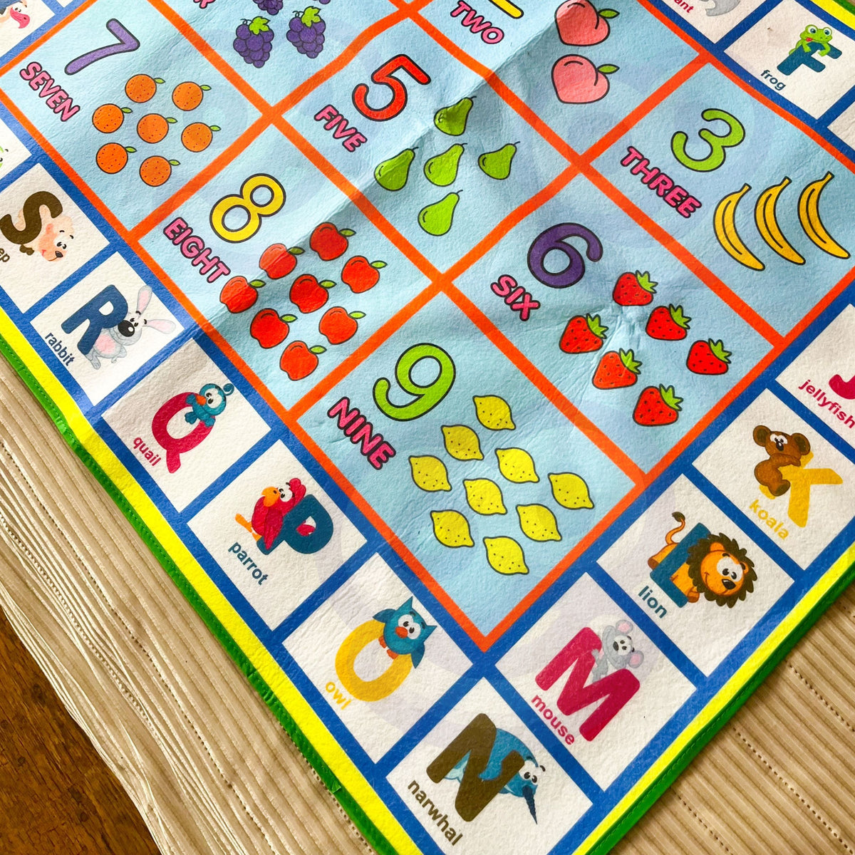 WOOPIE Vandeninis Piešimo Kilimėlis 2in1 XXL Dvipusis su Gyvūnais