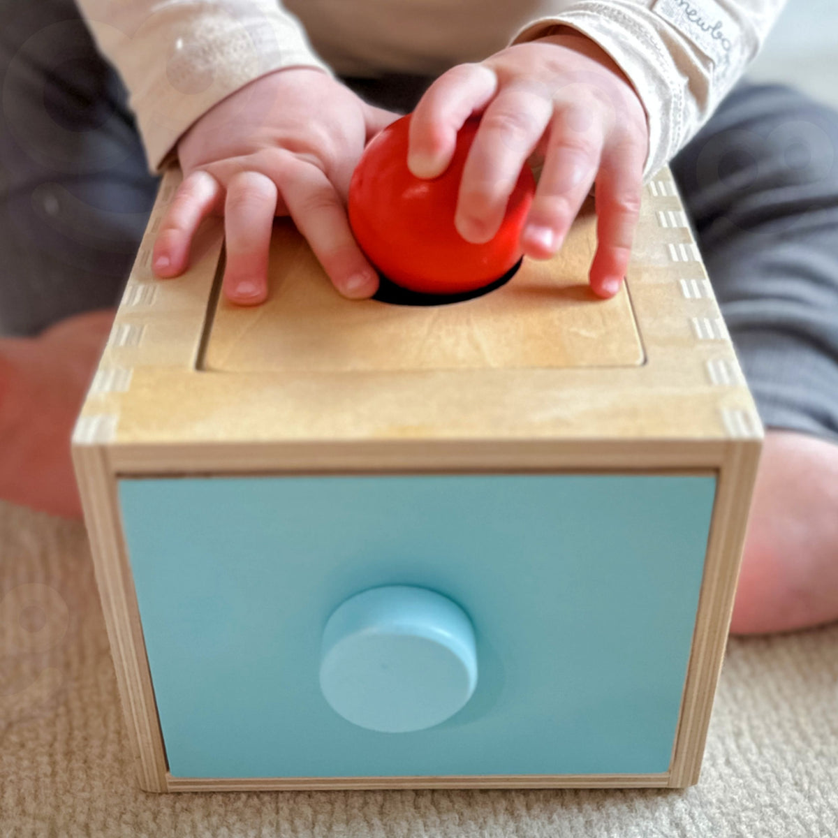 WOOPIE Medinė lavinamoji dėžutė 4in1 Montessori rūšiuoklis su morkytėmis