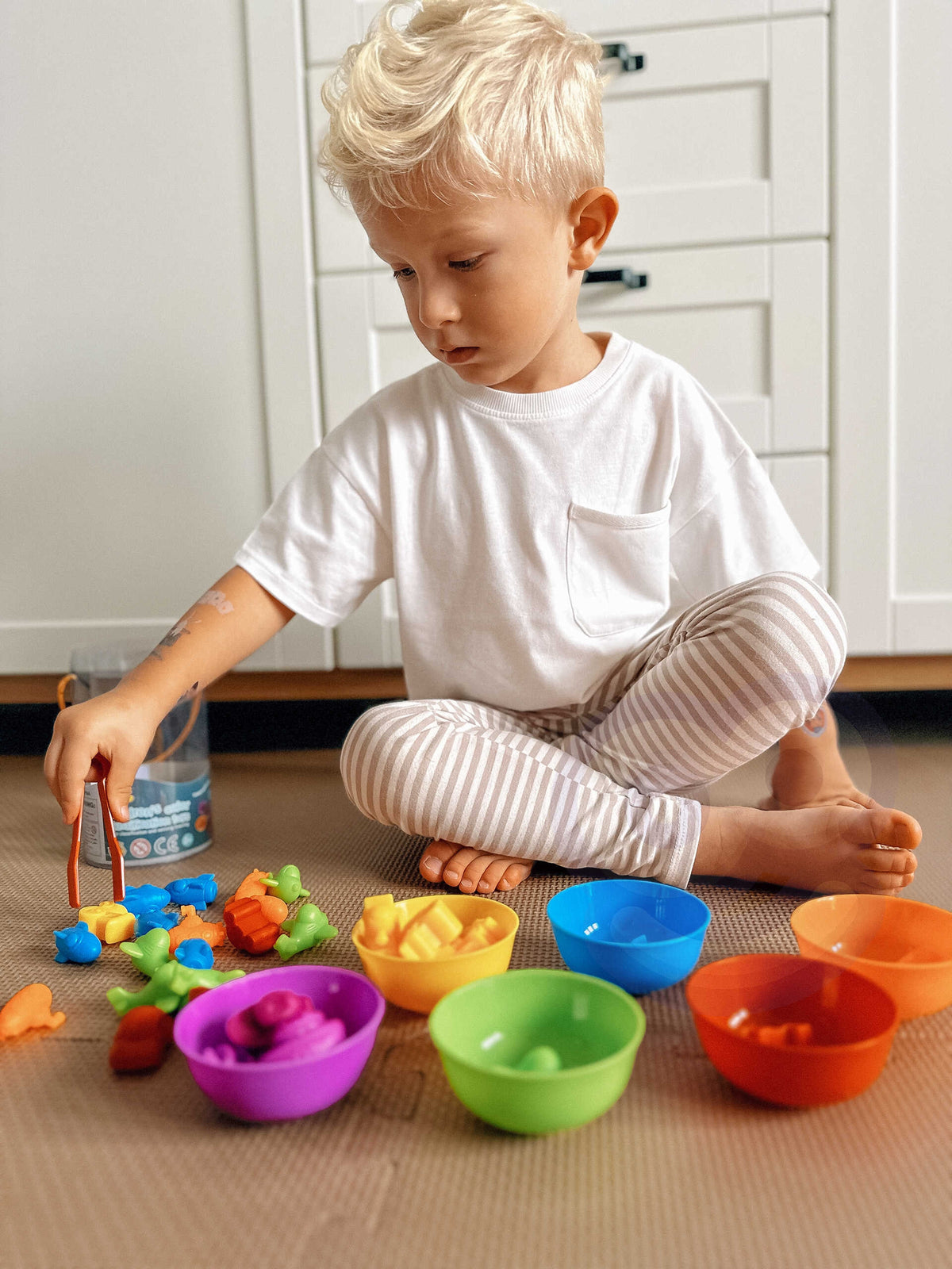 WOOPIE Montessori Spalvų Rūšiuoklis Jūra ir Žemė 64 dalys