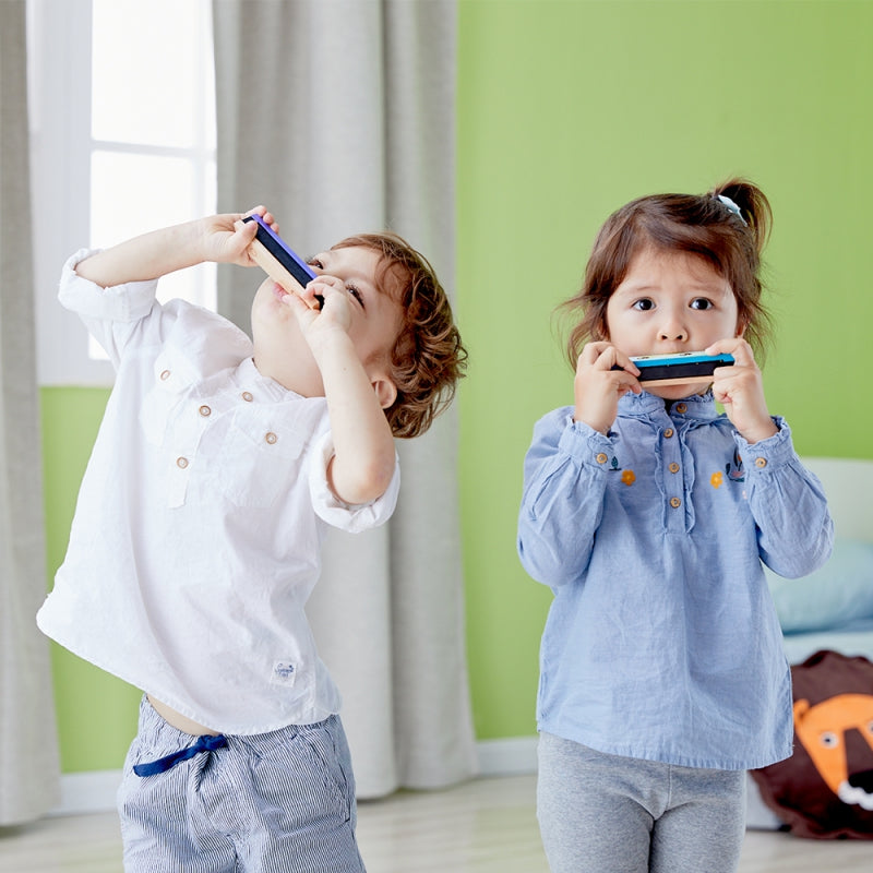 CLASSIC WORLD medinė lūpinė armonikėlė – vaizdas 2