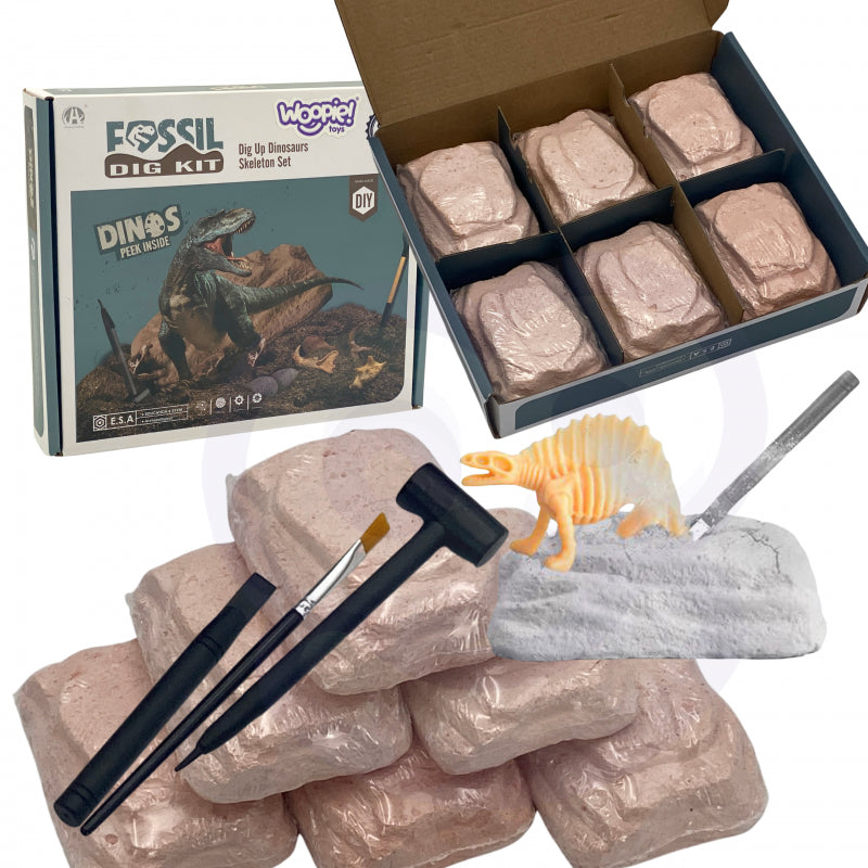 WOOPIE archeologiniai kasinėjimai 6in1 Dinozauro skeletas
