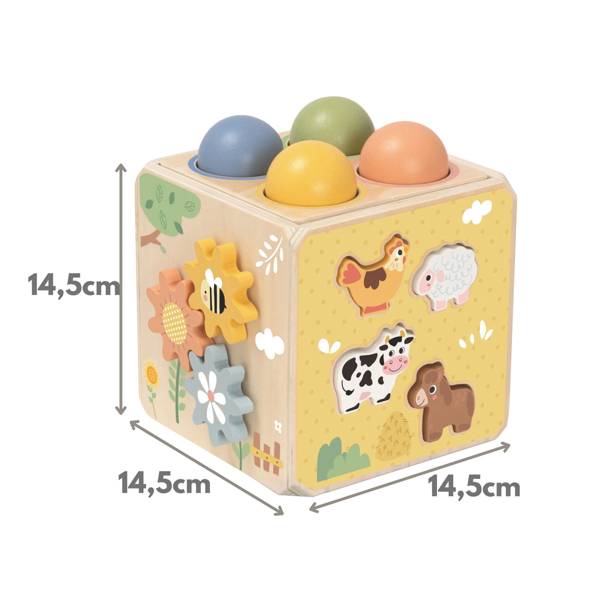 TOOKY TOY Medinis Edukacinis Kubas 5-in-1 su Priedais
