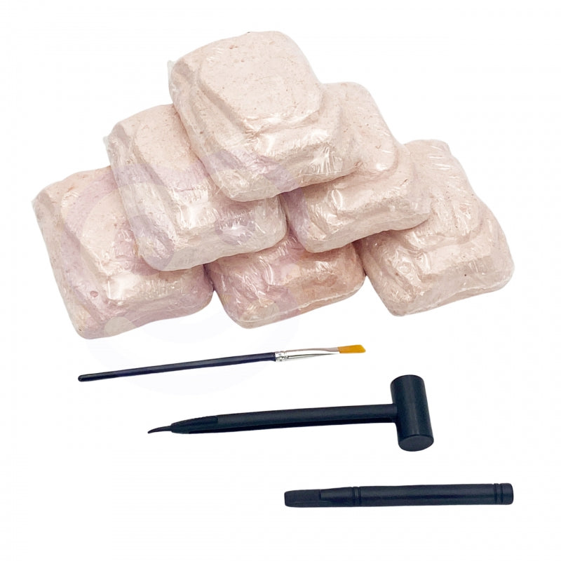 WOOPIE archeologiniai kasinėjimai 6in1 Dinozauro skeletas