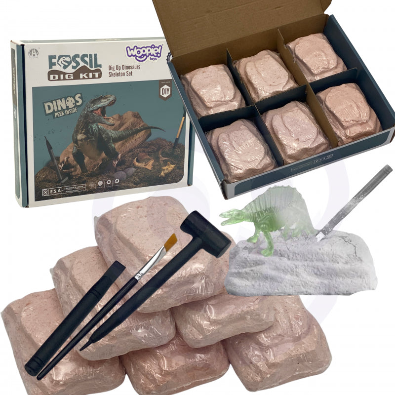 WOOPIE archeologiniai kasinėjimai 6in1 Dinozauro skeletas