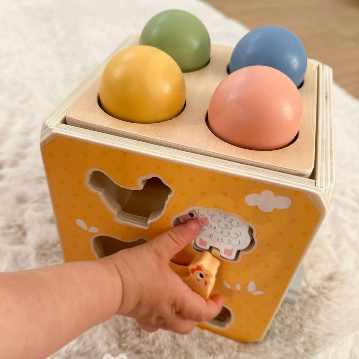 TOOKY TOY Medinis Edukacinis Kubas 5-in-1 su Priedais