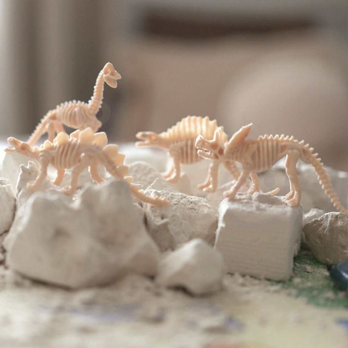 WOOPIE Mažasis Archeologas – Iškask 6 Dinozaurų Skeletus