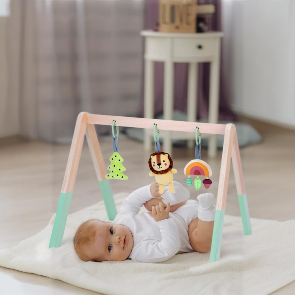 TOOKY TOY Baby Gym mokomasis gimnastikos stovas – vaizdas 2