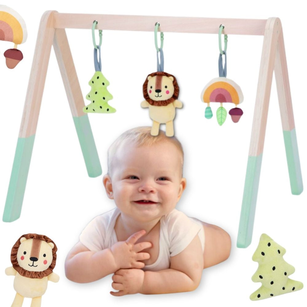 TOOKY TOY Baby Gym Edukacinis lavinimo stovas su 3 pakabinamais žaislais – pagrindinis vaizdas