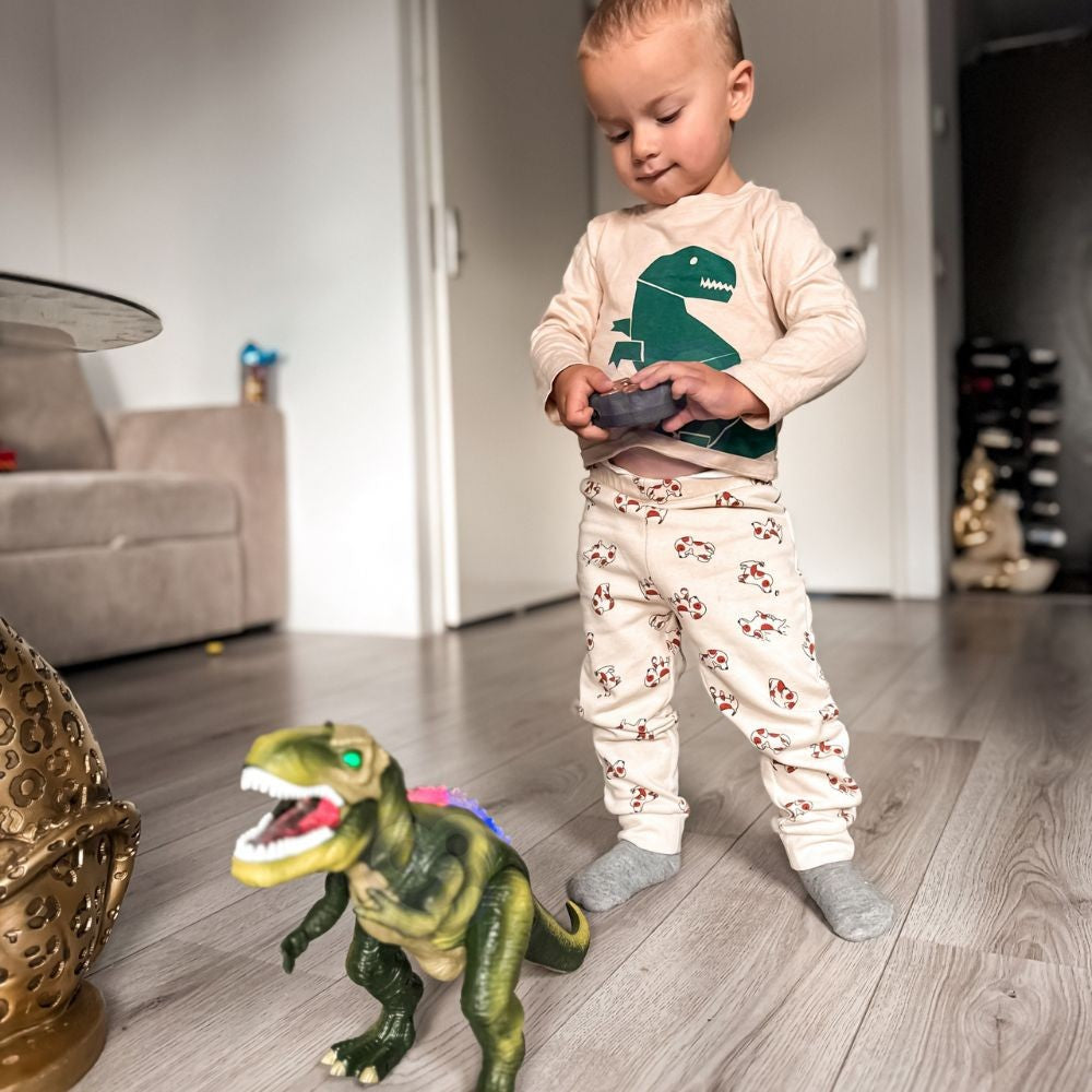 WOOPIE Nuotolinio Valdymo Dinozauras T-Rex RC Robotas