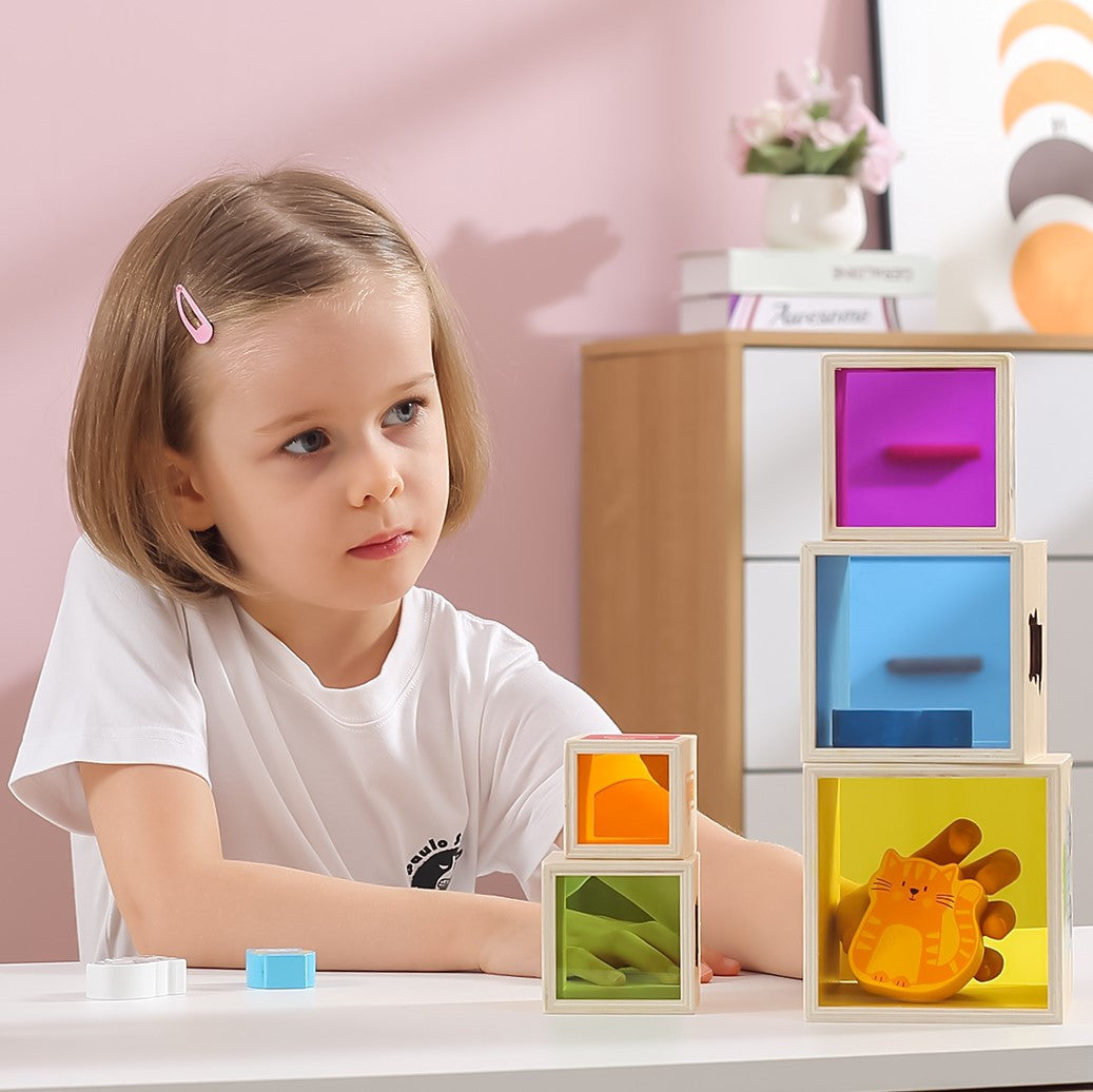 VIGA Medinių Kaladėlių Piramidė Rūšiuoklis Montessori 6 vnt.