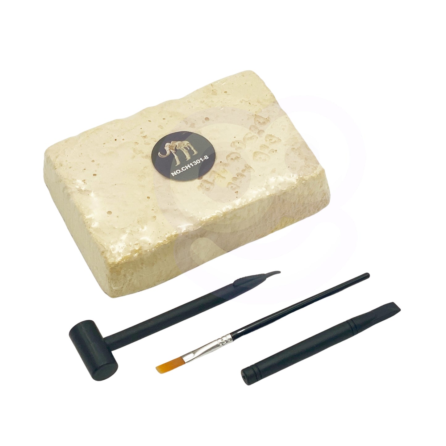 WOOPIE Kūrybinis rinkinys: Dinozauro skeletas, archeologiniai kasinėjimai – vaizdas 3