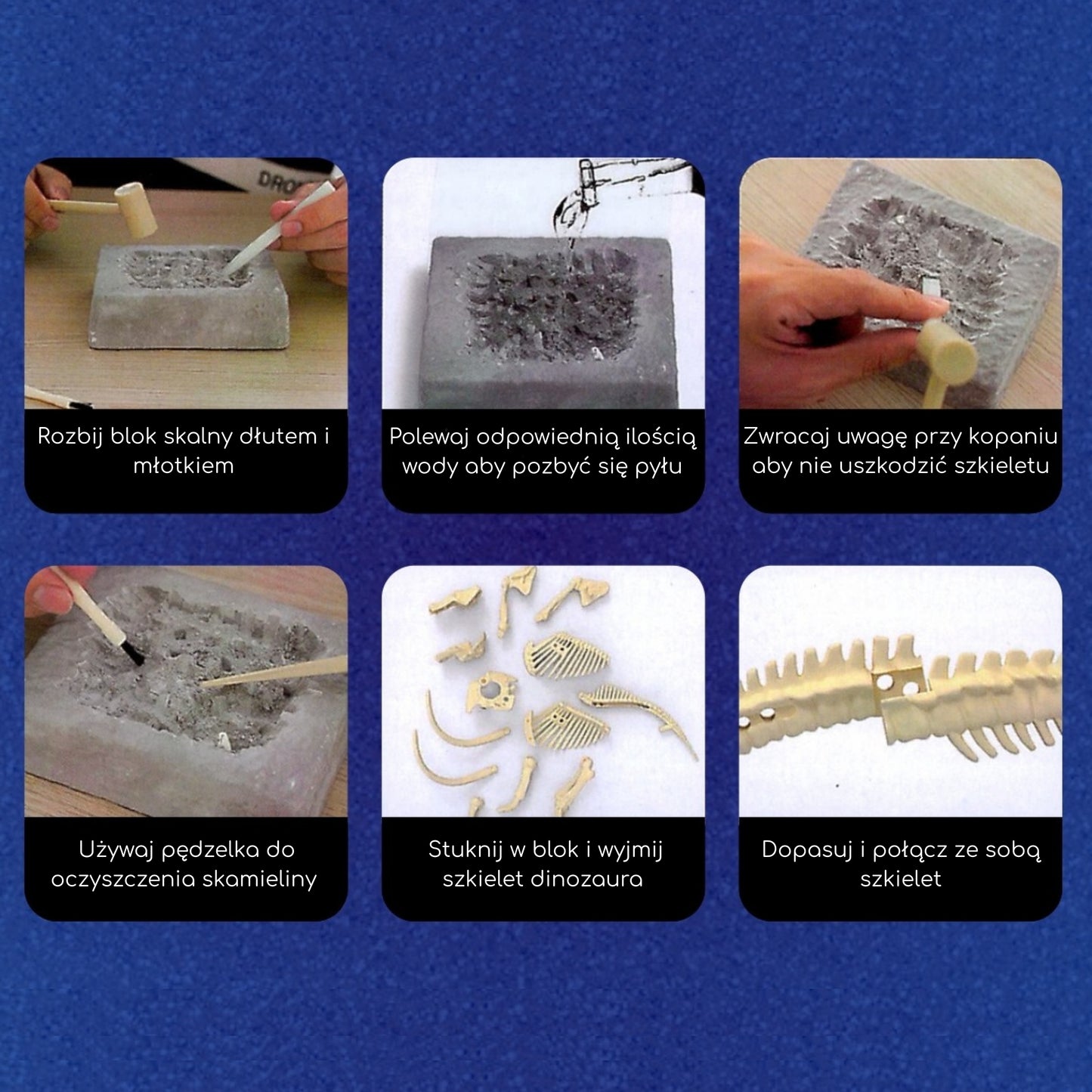 WOOPIE Kūrybinis rinkinys: Dinozauro skeletas, archeologiniai kasinėjimai – vaizdas 6