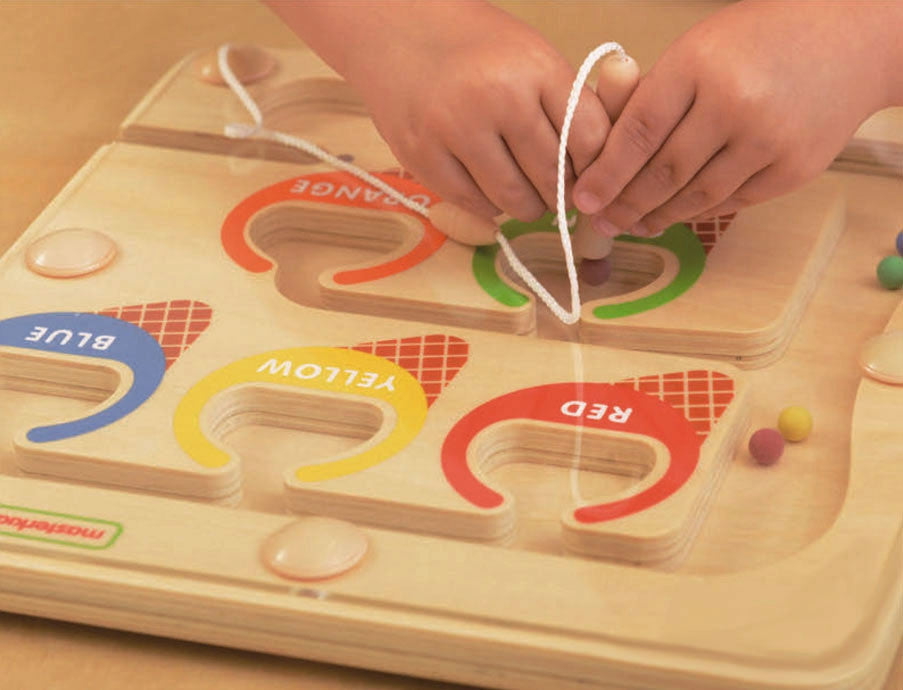 MASTERKIDZ Magnetinis Labirintas Rūšiuoklis Spalvų Mokymui EDU