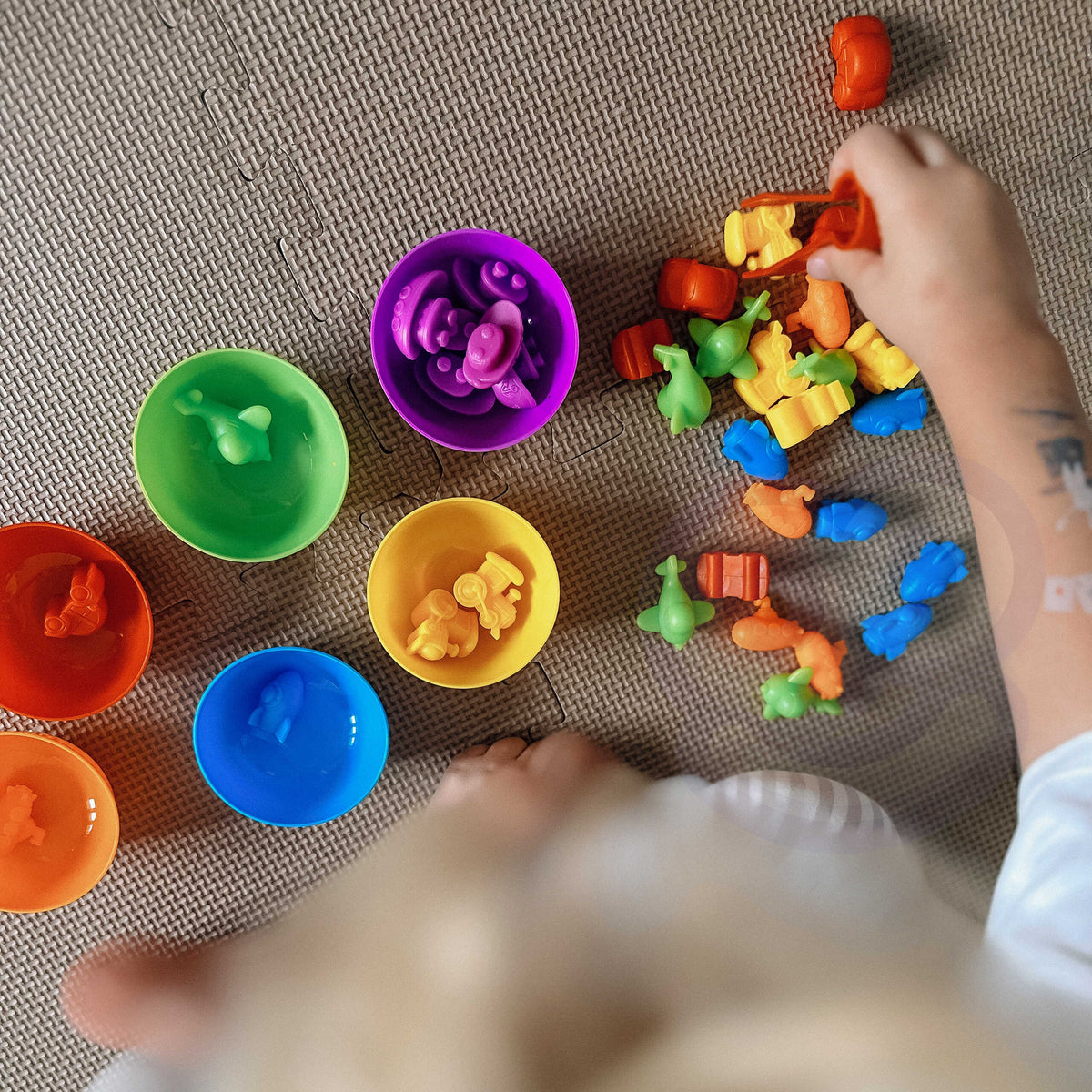 WOOPIE Montessori Spalvų Rūšiuoklis Jūra ir Žemė 64 dalys