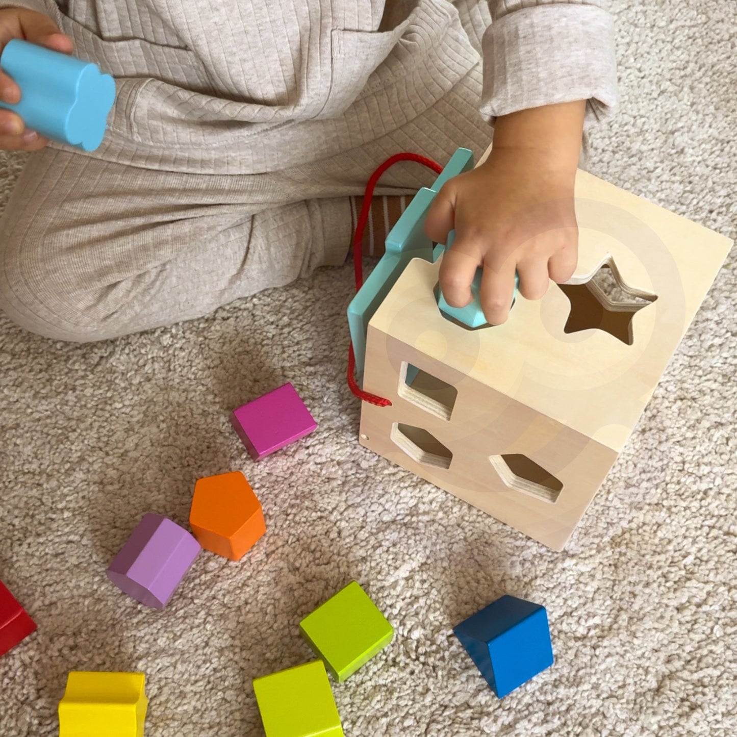 Tooky Toy medinis formų rūšiuoklis – spalvinga edukacinė dėlionė vaikams – vaizdas 4