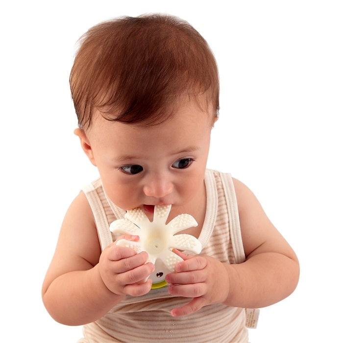 Mombella 8032-1 kramtukas žaislas Octopus Lemon – vaizdas 3