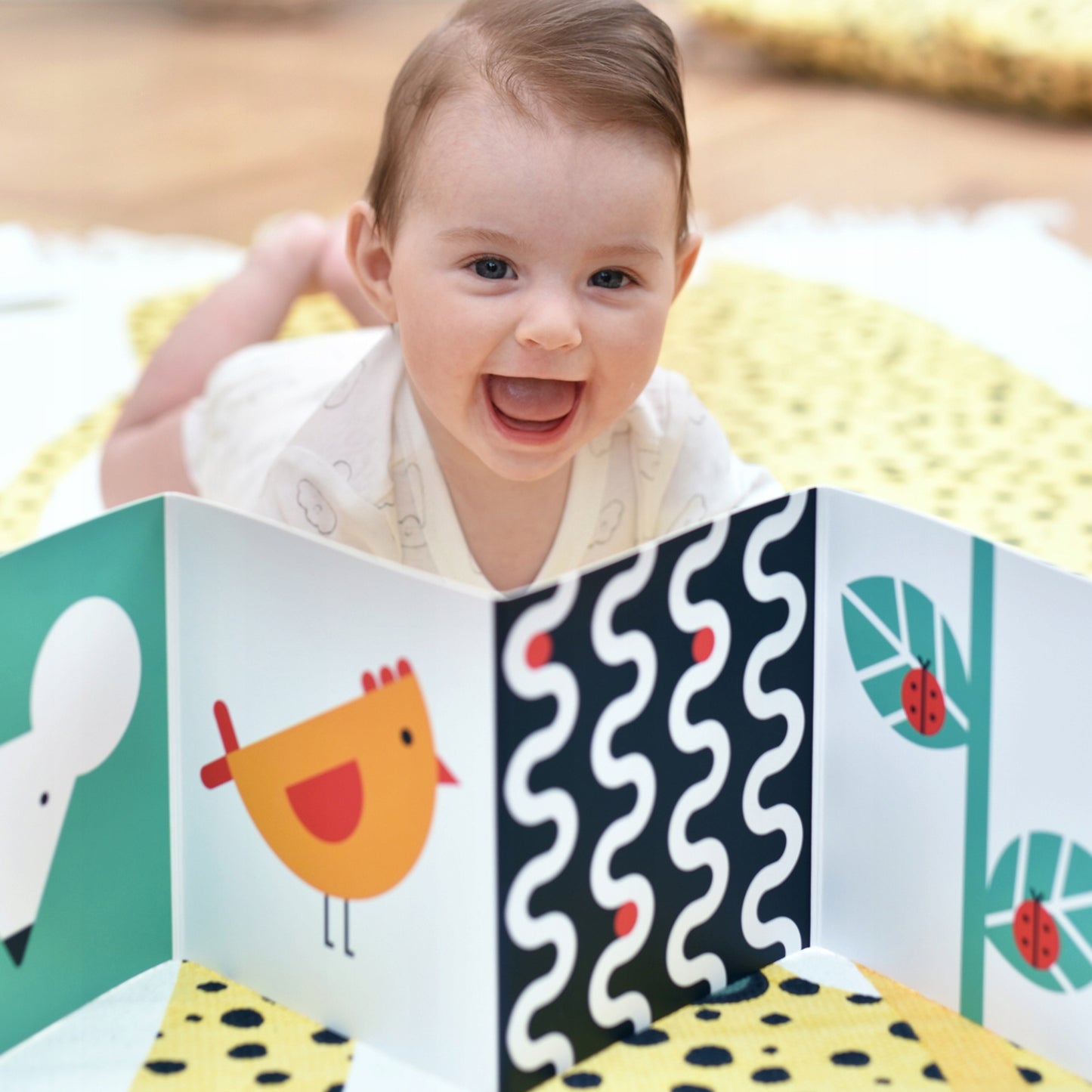 Kūdikių knyga, kontrastinė – vaizdas 3