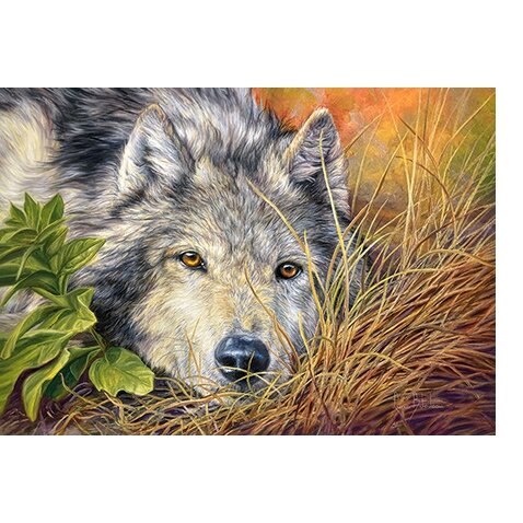 Castorland dėlionė PURE SOUL 500 det – vaizdas 2