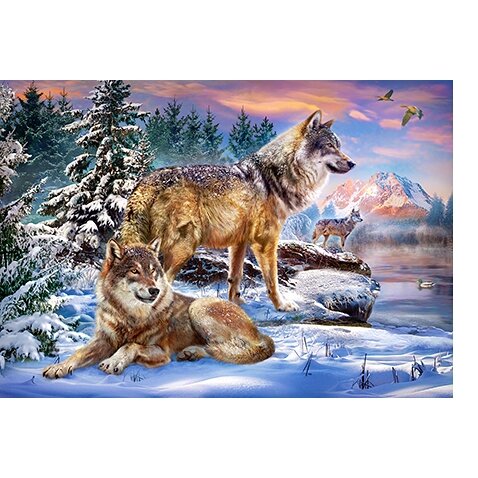 Castorland dėlionė Wolfish Wonderland 500 det – vaizdas 2