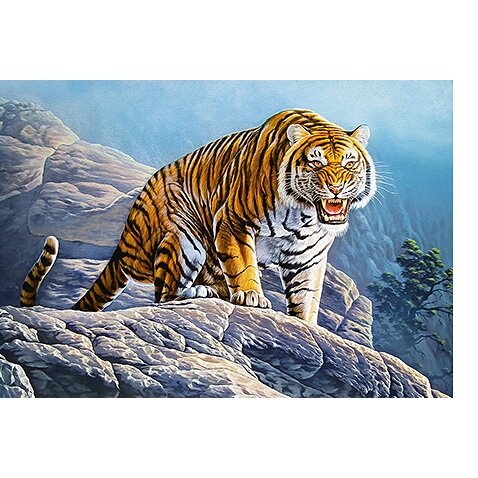 Castorland dėlionė Tiger on the Rocks 500 det – vaizdas 2