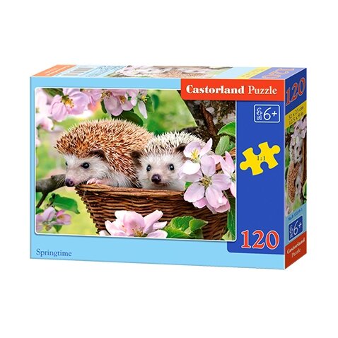 Castorland dėlionė SPRINGTIME 120 det – pagrindinis vaizdas