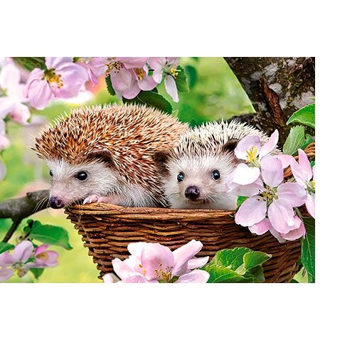 Castorland dėlionė SPRINGTIME 120 det – vaizdas 2