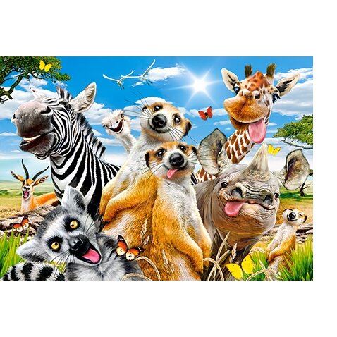 Castorland dėlionė AFRICAN SELFIEY 260 det – vaizdas 2