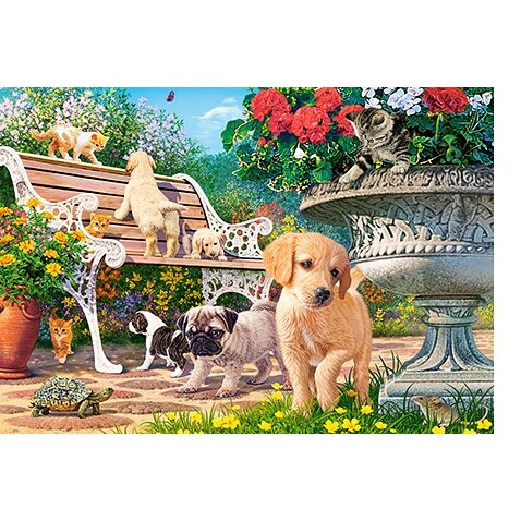 Castorland dėlionė Hide and Seek 500 det – vaizdas 2