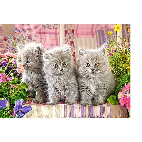 Castorland dėlionė THREE GREY KITTENS 300 det – vaizdas 2