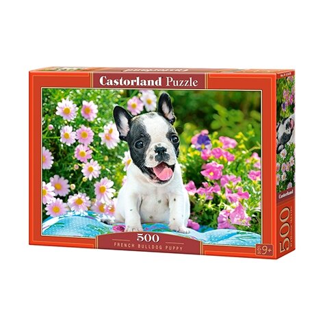 Castorland dėlionė French Bulldog Puppy 500 det – pagrindinis vaizdas