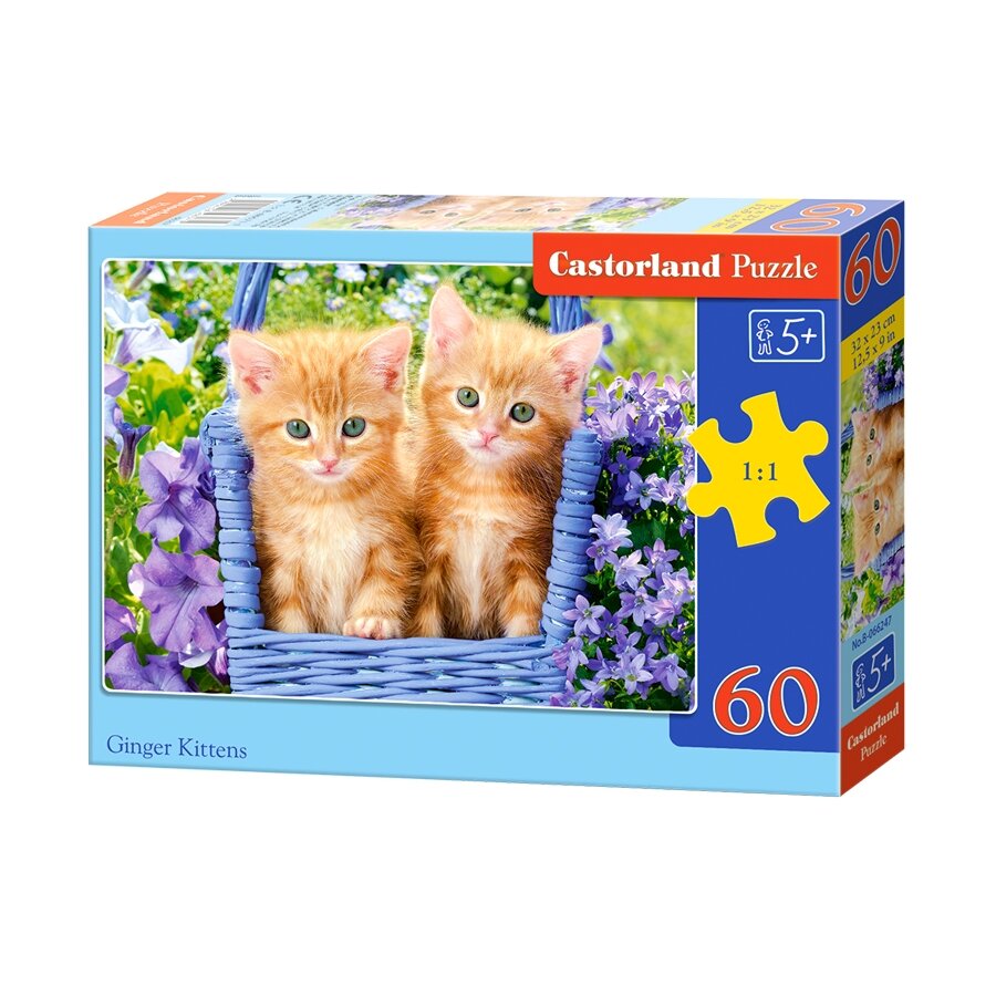 Castorland dėlionė GINGER KITTENS 60 det – pagrindinis vaizdas