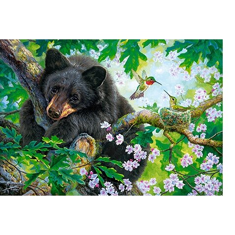 Castorland dėlionė Hide and Seek 500 det – vaizdas 4