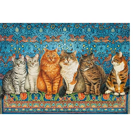 Castorland dėlionė Cat Aristocracy 500 det – vaizdas 2