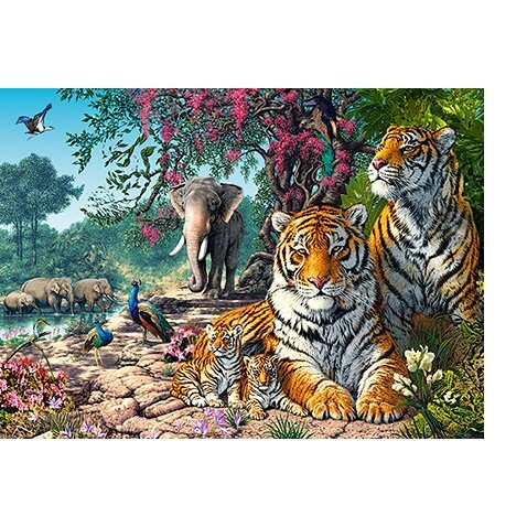 Castorland dėlionė TIGER SANCTUARY 300 det – vaizdas 2