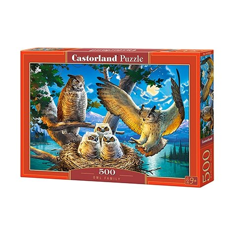Castorland dėlionė Owl Family 500 det – pagrindinis vaizdas