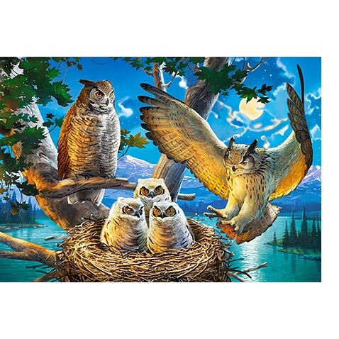 Castorland dėlionė Owl Family 500 det – vaizdas 2