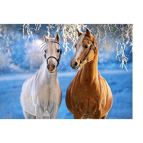 Castorland dėlionė THE WINTER HORSES 260 det – vaizdas 2